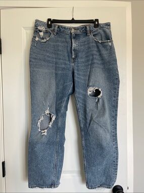 Abercrombie & Fitch Curve Love High Rise Mom Jean